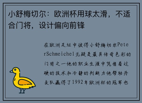 小舒梅切尔：欧洲杯用球太滑，不适合门将，设计偏向前锋