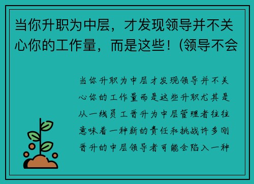 当你升职为中层，才发现领导并不关心你的工作量，而是这些！(领导不会关心你累不累)